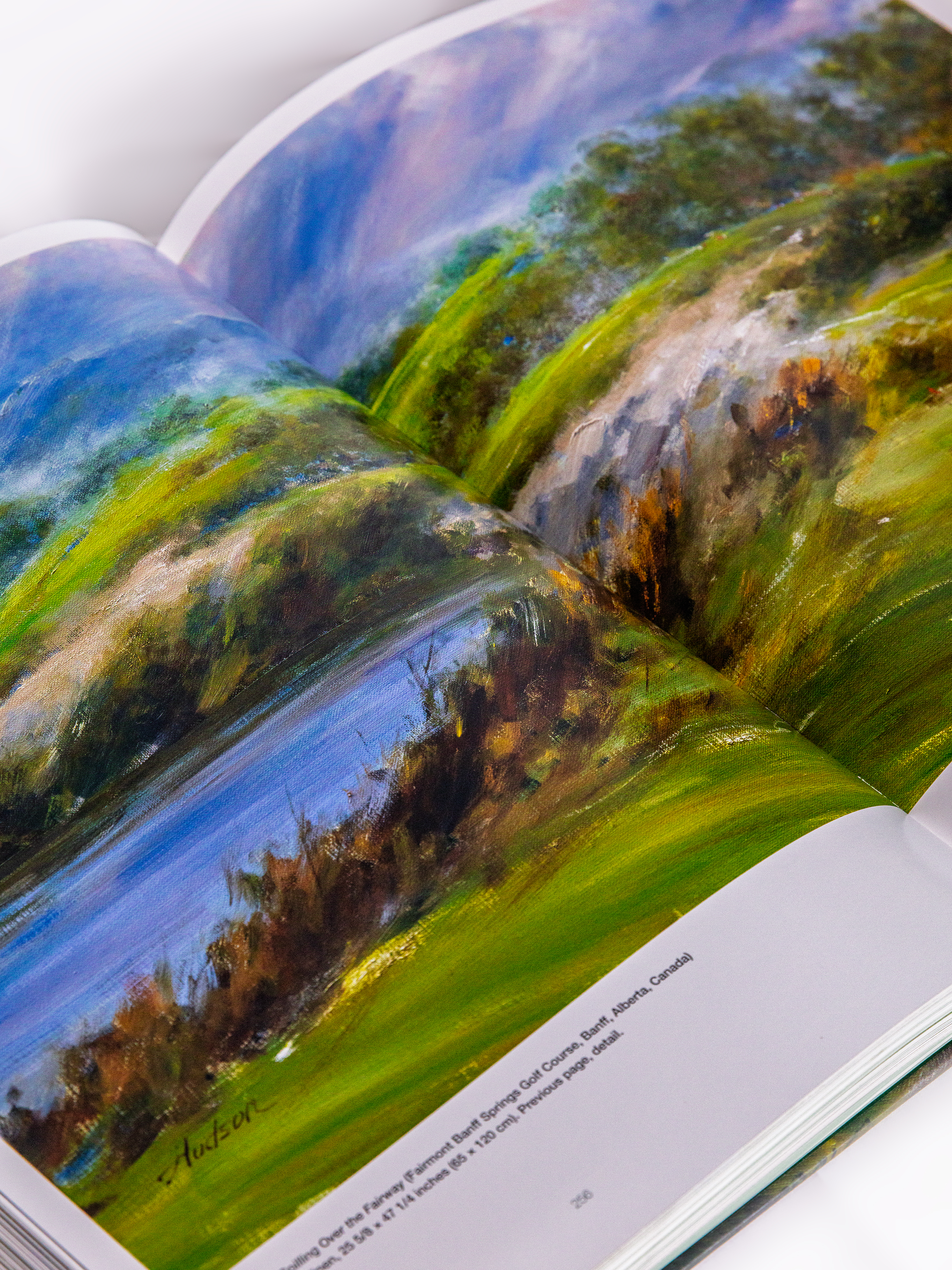 Open book vivid landscape detail